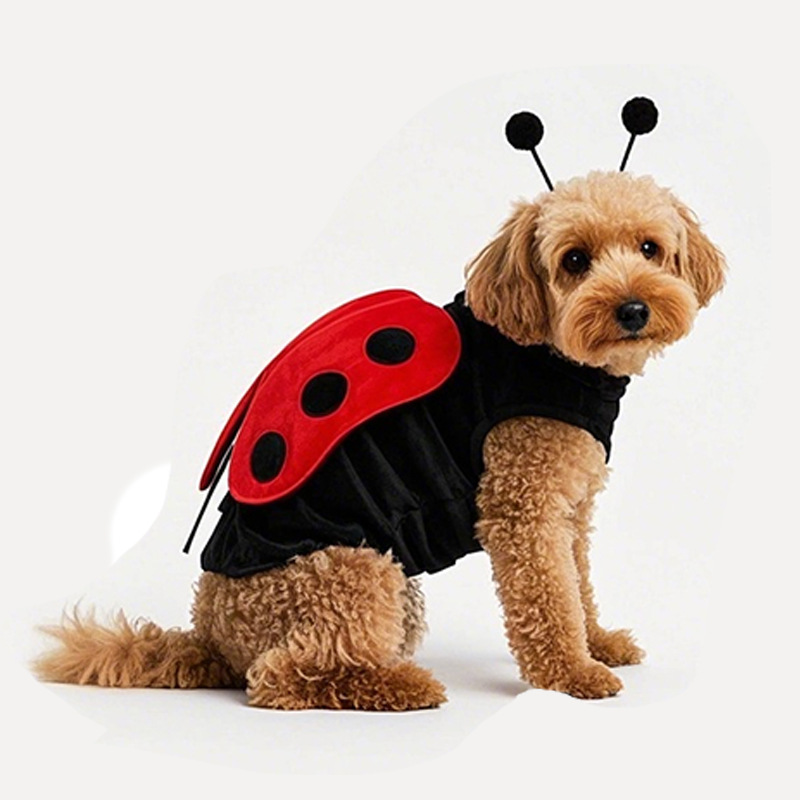 Ladybug Dog Costume Pet Halloween Outfit with Wings and Antennae